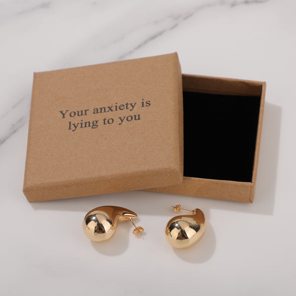 Your anxiety is lying to you Earrings for Friend Encouragement Gift Motivational Jewelry