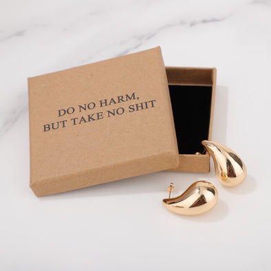DO NO HARM BUT TAKE NO SHIT Earrings for Friend Encouragement Gift Motivational Jewelry